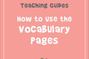Teaching instructs the usage of vocabulary pages.