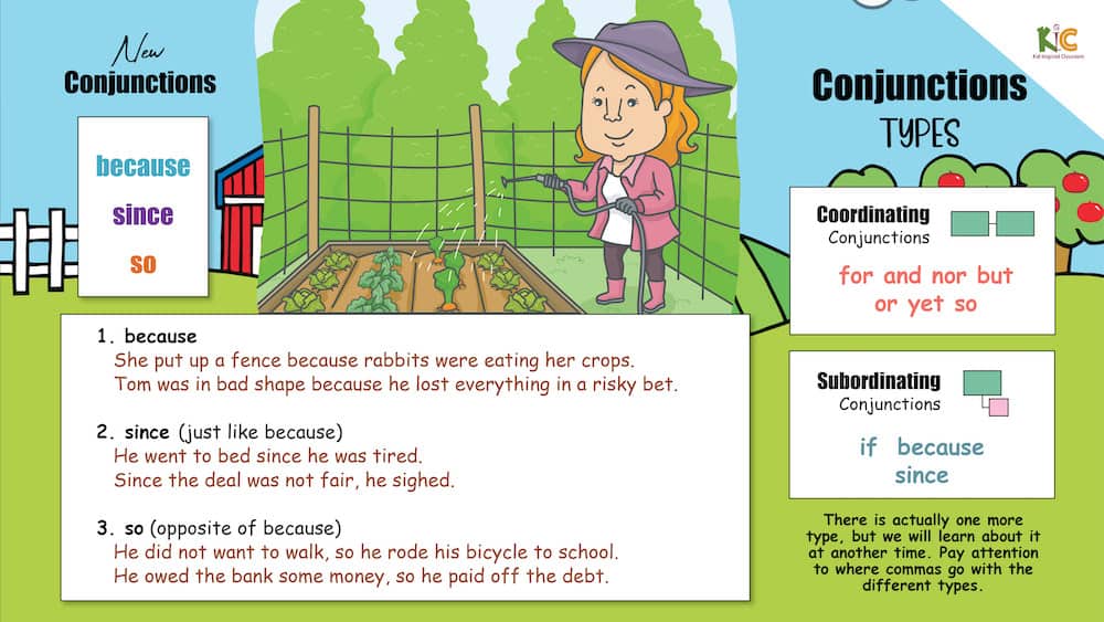 Conjunctions Sample Lesson Grammar