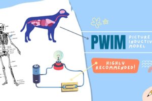 Pwm picture word inductive model.